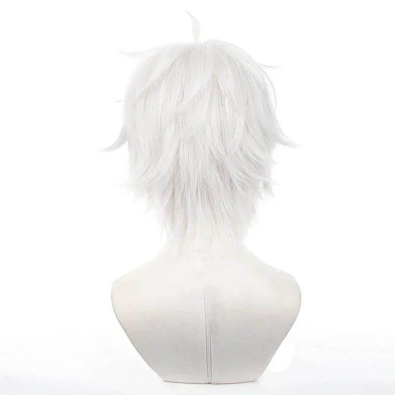 Anime Seishiro Nagi Cosplay Wi - đánh giá và giá Cosplay Anime White Hair